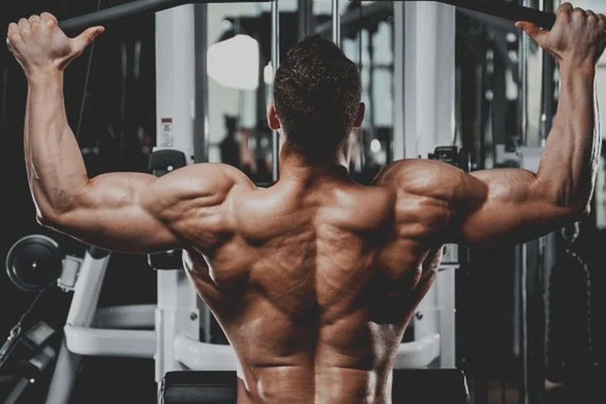 Oz Roids